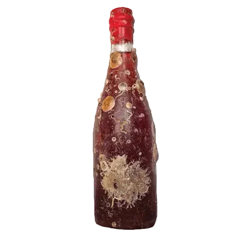 LA CANTINA NEL MARE "ROSATUM" - Ravenna Igt Spumante ancestrale